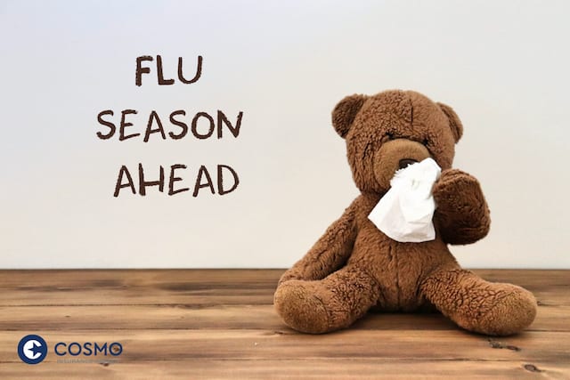 Healthy flu season
