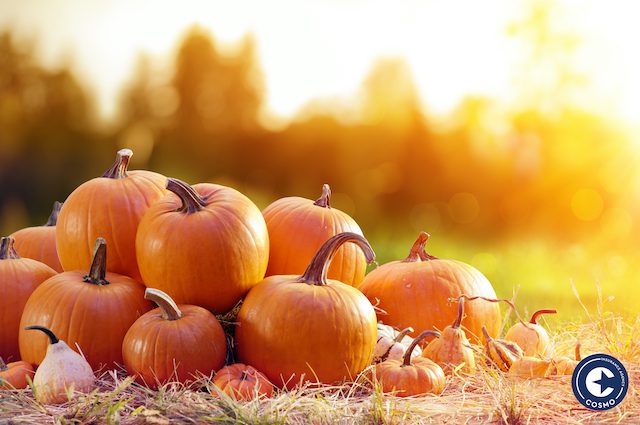 health benefits pumpkin