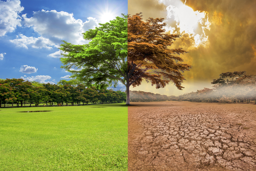 A,Global,Warming,Concept,Image,Showing,The,Effect,Of,Arid