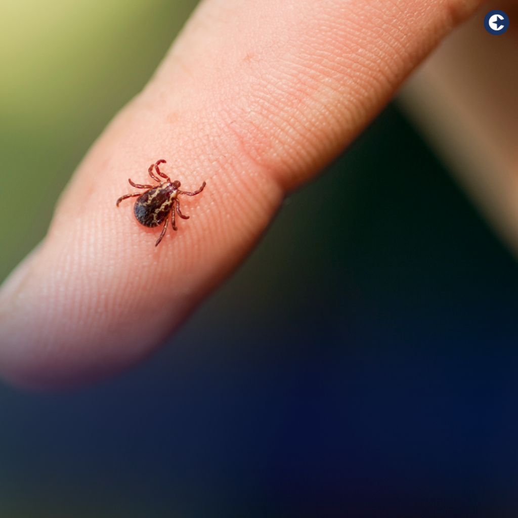 Protecting Yourself: The Surge in Tick-Borne and Mosquito-Borne Illnesses This Summer