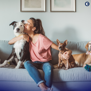 Learn about the rise of pet-assisted therapy coverage in health insurance and discover how the power of animal companionship is being recognized for its contributions to mental and emotional well-being.