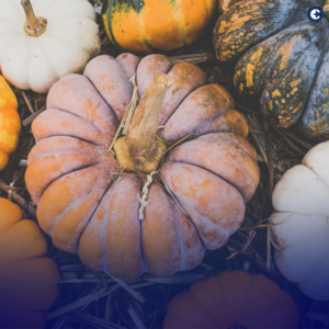 Explore the rich history and versatile uses of the iconic pumpkin on National Pumpkin Day, celebrated every October 26th. Discover the culinary delights, autumn decor, and nutritional benefits of this beloved gourd, and embrace the essence of fall with pumpkin-inspired traditions.