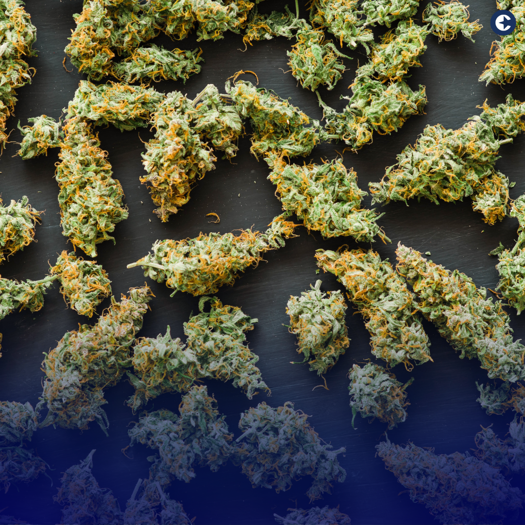 Explore how the unionization of NJ Leaf in New Jersey's cannabis industry is enhancing service quality for medical patients and improving working conditions, setting new standards in the sector.